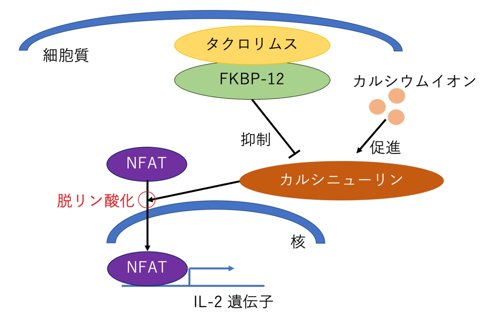 lrtxipa01745lf9wg8ue7yyft9is99nf.jpg lrtxipa01745lf9wg8ue7yyft9is99nf.jpg